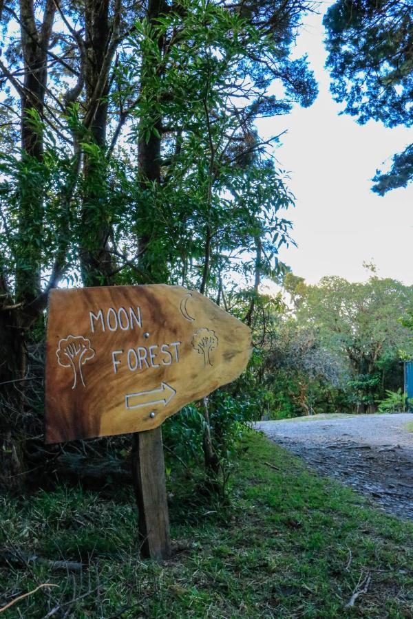 Moon Forest Apartments Monteverde 外观 照片
